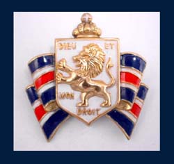 Accessocraft War Relief Pin
