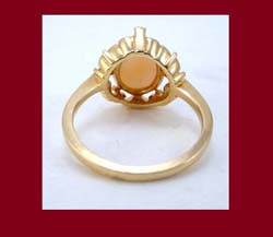 Angel Skin Coral 14k Gold Ring Back