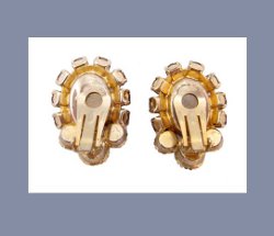 Juliana Iridescent Pressed Floral Bracelet and Earrings Back