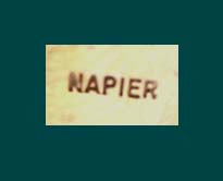 Napier Gold Tone & Turquoise Beaded Necklace Signature