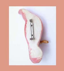 Rare Takahashi Pink Cockatoo Pin Back