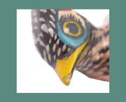 Takahashi Roadrunner Bird Pin Beak