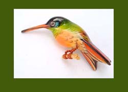 Takahashi Xantus Hummingbird Pin Front