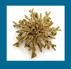 Zentall Golden Coral Pin Front